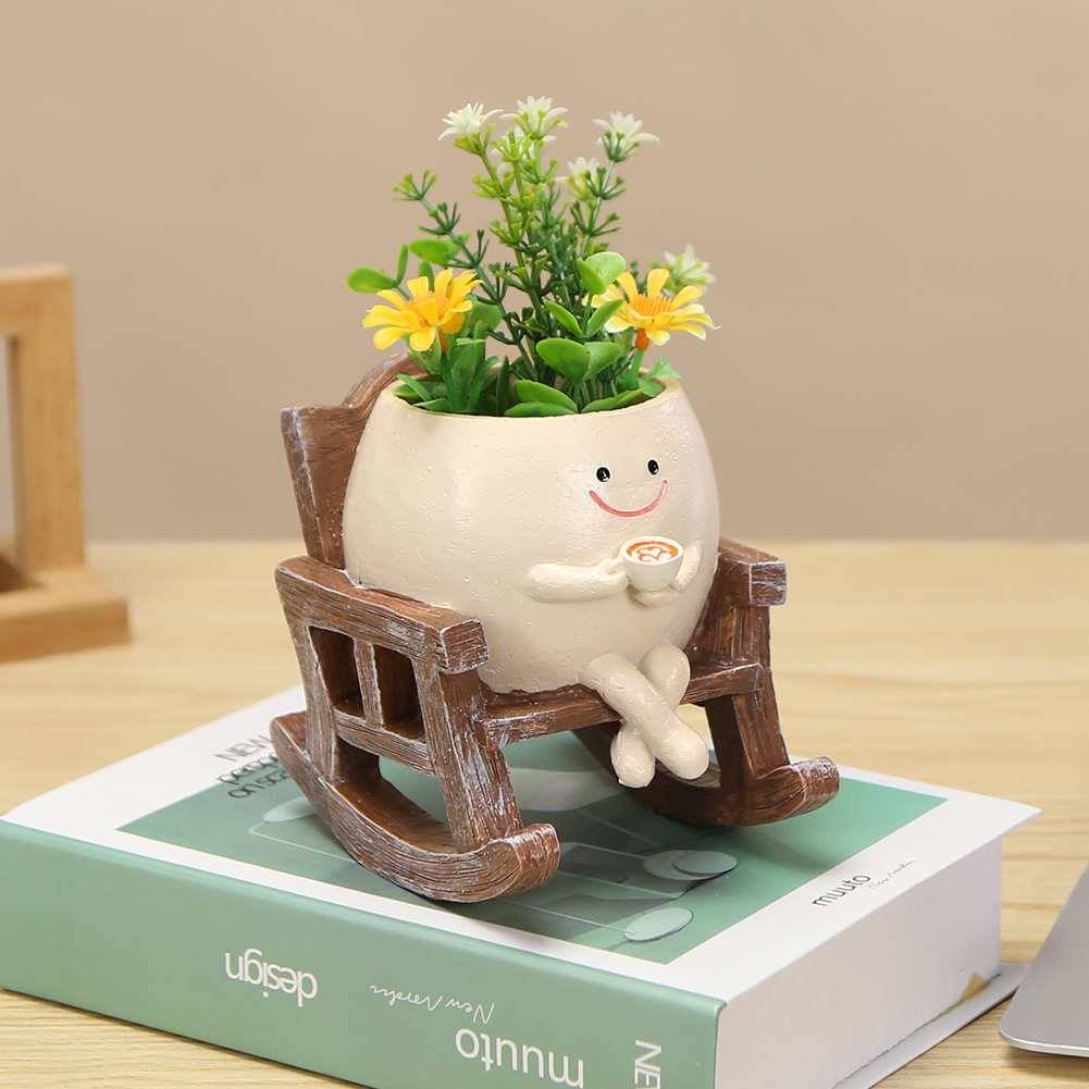 Echeveria Succulent - Creative Rocking Chair/Swing Face Succulent Pot