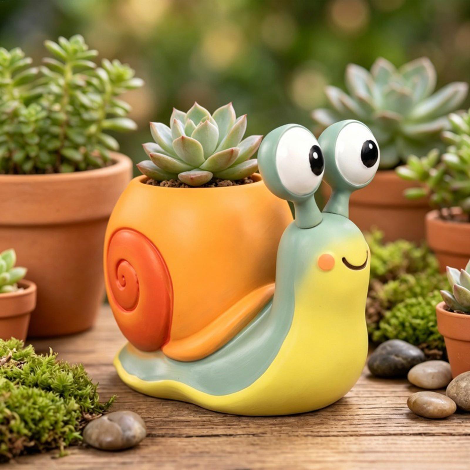 Snail Shape Flower Pot Snail f - Echeveria Succulent 评论和价格