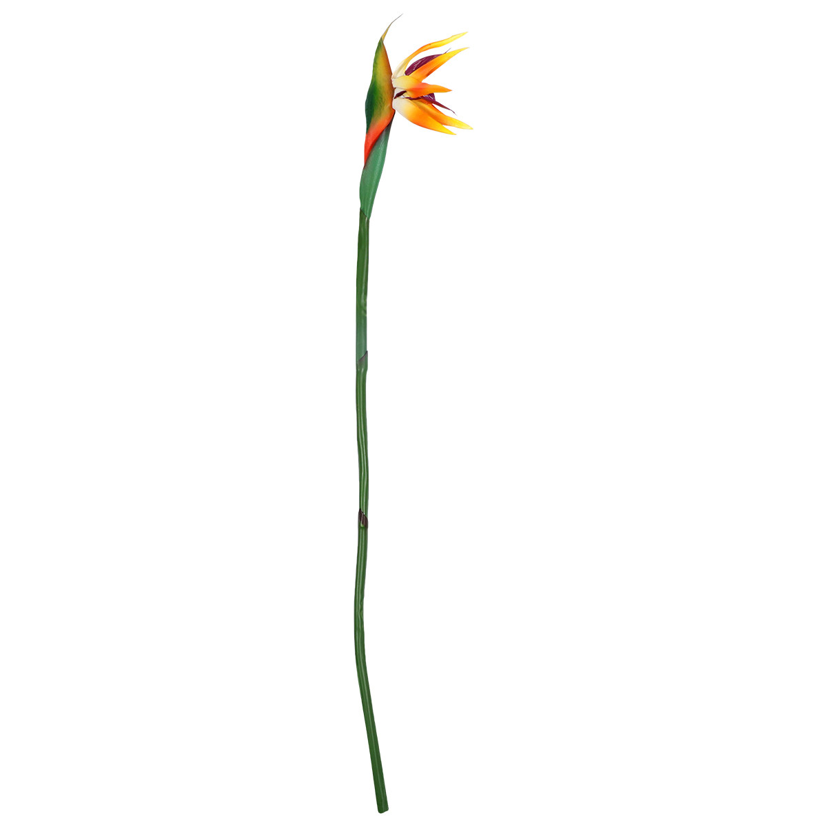 Artificial Bird of Paradise Fl - Bird Paradise Strelitzia 评论和价格
