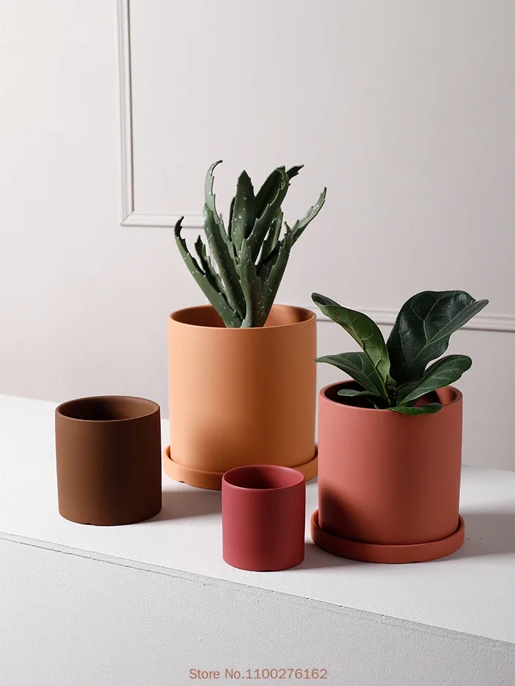 1pc New Pure Color Ceramic Flo - Echeveria Succulent 评论和价格