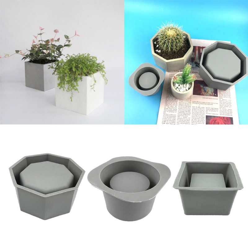 Handmade Succulent Planter Flo - Echeveria Succulent 评论和价格