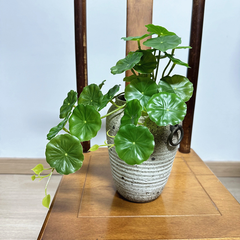 2pcs Artificial Pilea Peperomi - Pilea Peperomioides 评论和价格
