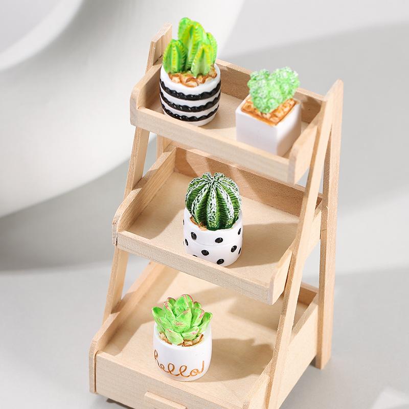 4-Piece Set of Cactus Succulen - Echeveria Succulent 评论和价格